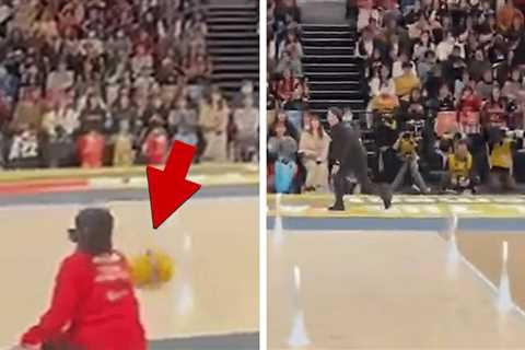 Volleyball Player Goes Viral For Epic Apology After Serve Hits Worker