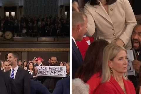 Rep. Al Green Holds 'Black People Aren't Apes' Sign at State of the Union Address