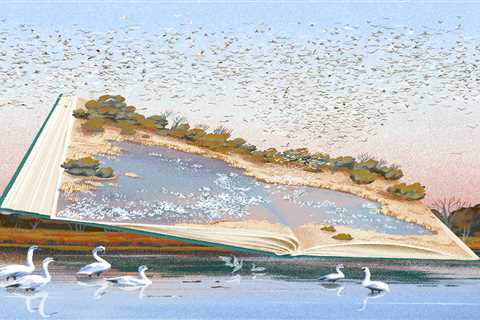 2025 Booooooom Illustration Awards Winner: Andrea Cheung