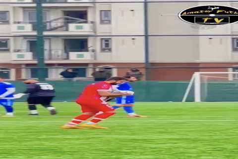 Soccer player uses CPR to revive seagull struck by ball during playoff match in Turkey