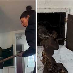 Sara Bareilles Finds Animal Bones Behind Door in House in Hilarious Video