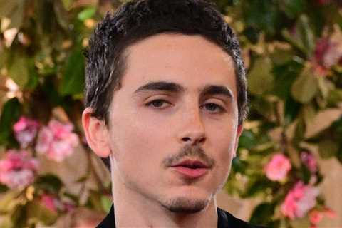 Timothée Chalamet Dissed Opera & Ballet in Resurfaced Video From 2019
