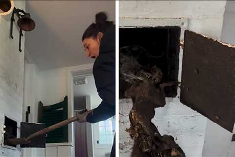 Sara Bareilles Finds Animal Bones Behind Door in House in Hilarious Video