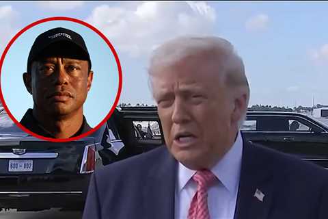 Donald Trump Reacts to Tiger Woods Crash News Prior To DUI Arrest