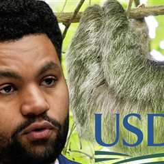 Florida Congressman Calls for Investigation Into Sloth World After 31 Sloths Die