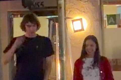 Olivia Rodrigo Spotted on Dinner Date With Geese Singer Cameron Winter