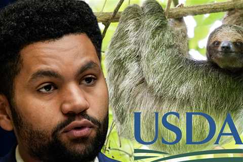Florida Congressman Calls for Investigation Into Sloth World After 31 Sloths Die