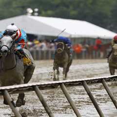 2026 Black-Eyed Susan Stakes picks, predictions, best bets