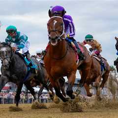 2026 Preakness Stakes picks: Best horses to use in exactas, trifectas