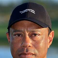 Tiger Woods' Plane Flies Back to Switzerland Where He Went to Rehab