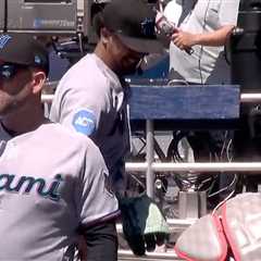 Marlins pitcher Eury Perez suffers one of the most bizarre injuries of MLB season