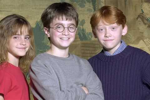 'Harry Potter' Cast -- Then and Now! See How Far They've Come!