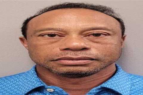 Florida prosecutors will get access to Tiger Woods’ prescription drug history in DUI case, judge..