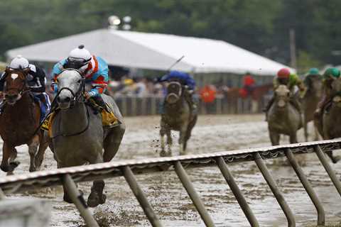 2026 Black-Eyed Susan Stakes picks, predictions, best bets