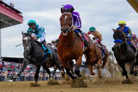 2026 Preakness Stakes picks: Best horses to use in exactas, trifectas