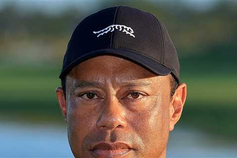 Tiger Woods' Plane Flies Back to Switzerland Where He Went to Rehab