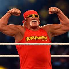 Hulk Hogan death investigation finds ‘no evidence’ of criminal wrongdoing, cops say