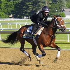 2026 Belmont Stakes picks: How should bettors play the favorite Renegade?