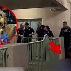 LAPD Shoots and Kills Dog As Owner Celebrates Knicks' NBA Championship