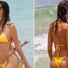Alessandra Ambrosio Shows Off Bikini Bod At the Beach
