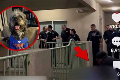 LAPD Shoots and Kills Dog As Owner Celebrates Knicks' NBA Championship