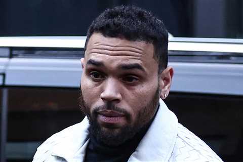 Chris Brown’s Housekeeper Testifies Over Dog Attack: 'I Thought I Was Going to Die'