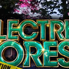 Dead Baby Found At Electric Forest Music Festival Undergoes Autopsy, Cops Have No Leads