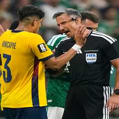 World Cup ref in charge of final has previous ‘sex party’ arrest