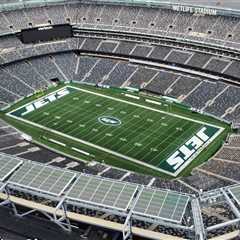 NFL stars make vocal push for fields to have natural grass following World Cup switch