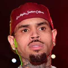 Chris Brown's Tour Profits at Risk of Being Seized by Dog Attack Victim