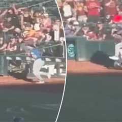 Minor league mascot goes viral after bowling over Alek Thomas on scooter