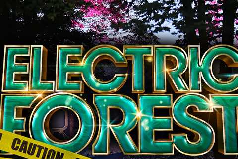 Dead Baby Found At Electric Forest Music Festival Undergoes Autopsy, Cops Have No Leads