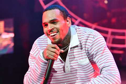 Chris Brown Thrusts, Humps, Grinds on Fan In Handsy Display During Show