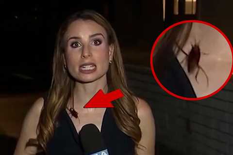 KTLA Reporter Unfazed By Disgusting Cockroach Crawling On Her During Live Segment, Video