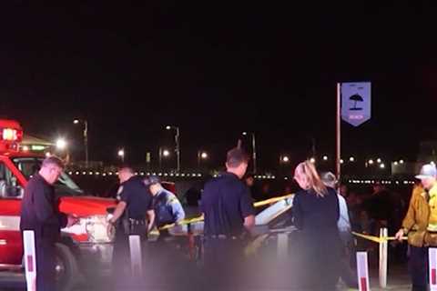 Man Shot and Killed Near Santa Monica Pier, Gunman Still at Large