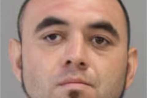 Road rage driver who allegedly killed boxing star Hannah Rapp is career criminal with lengthy rap..