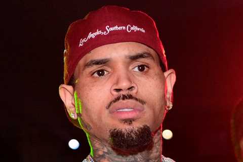 Chris Brown's Tour Profits at Risk of Being Seized by Dog Attack Victim
