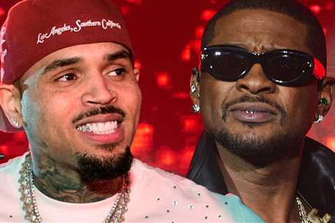 Chris Brown Fan Rides Him At Same Show Usher Got Shut Down