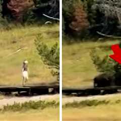 Bison Chases Child at Yellowstone National Park in Frightening Video