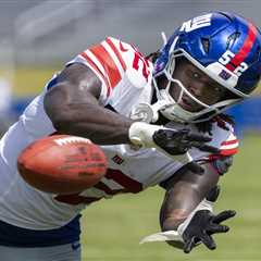 The four-word approach that has Arvell Reese destined to be a Giants’ menace