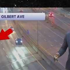 News Anchor Nearly Swears On Live TV After Seeing Car Crash in Real Time