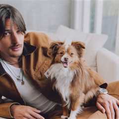 How Becoming a First-Time Dog Dad Changed Danny Ocean’s Life: ‘Kelo Is the Light of the House’