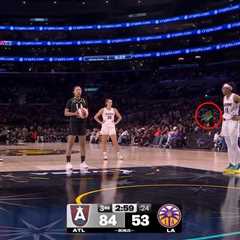 Apparent sex toy thrown onto court during another WNBA game — and alleged hurler caught fleeing