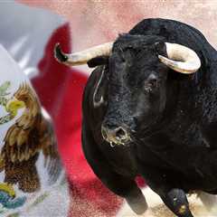 Two People Killed In Popular Mexican Bull-Running Festival