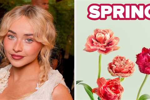 Choose Between These Pop Artists To Reveal Which Season You Are