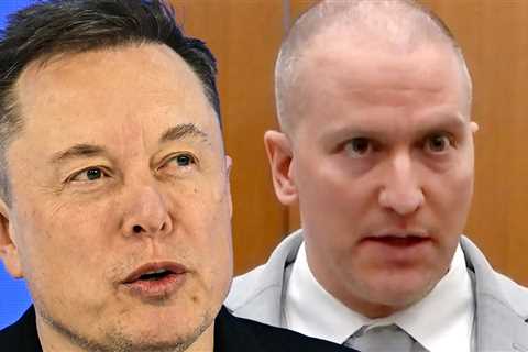 Elon Musk Says Derek Chauvin Is Not a Murderer, Should Be Freed
