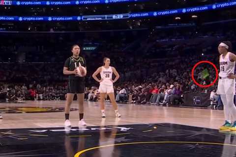 Apparent sex toy thrown onto court during another WNBA game — and alleged hurler caught fleeing