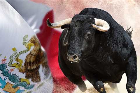 Two People Killed In Popular Mexican Bull-Running Festival