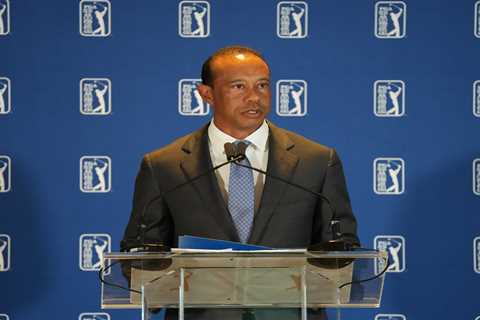 Tiger Woods posts video in rare appearance since arrest — and some fans are worried