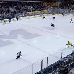 Ex-Michigan hockey players claim ‘sadistic’ sexual hazing in bombshell lawsuit